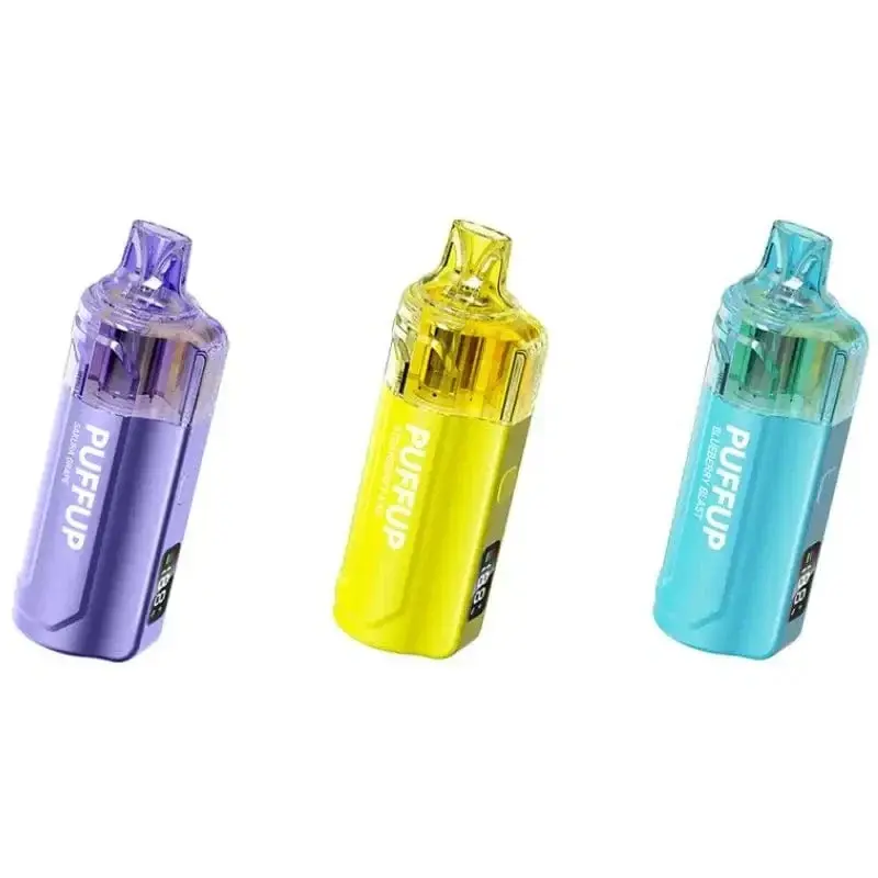 VAPGO PUFFUP Vilso NIX 25K disposables - front view