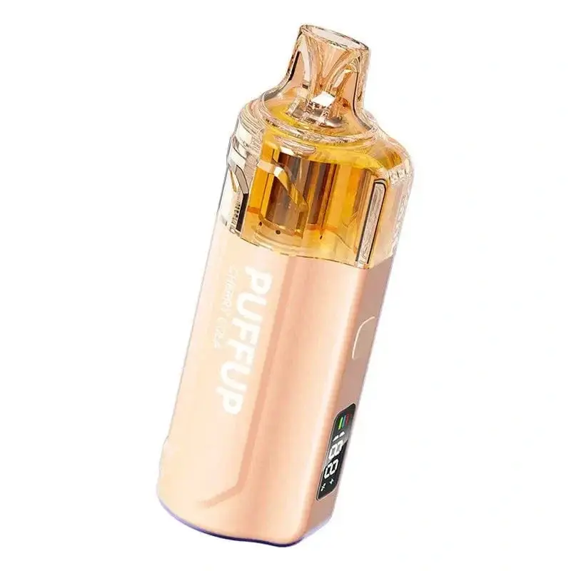 VAPGO PUFFUP Vilso NIX 25K – view 6