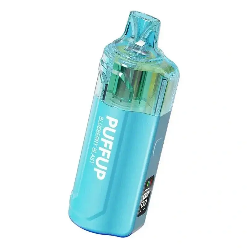 VAPGO PUFFUP Vilso NIX 25K – view 7